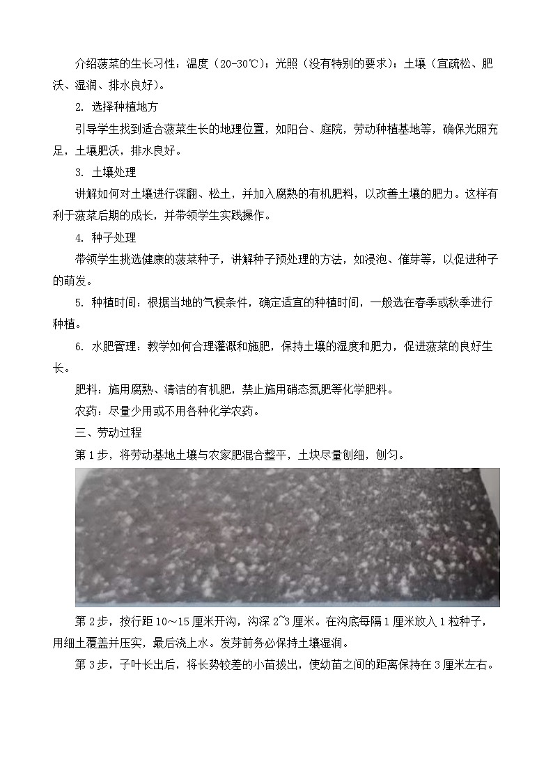 9无公害菠菜我能种（教案）2023-2024学年小学劳动四年级上册（人教版）第2页