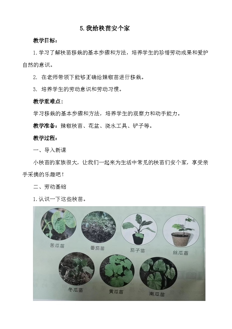 5.我为秧苗安个家 教案2023-2024学年小学劳动一年级上册（人教版）第1页