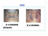【粤教版】四年级全一册《劳动与技术》第二单元  活动二《泥塑杯子》教案+课件