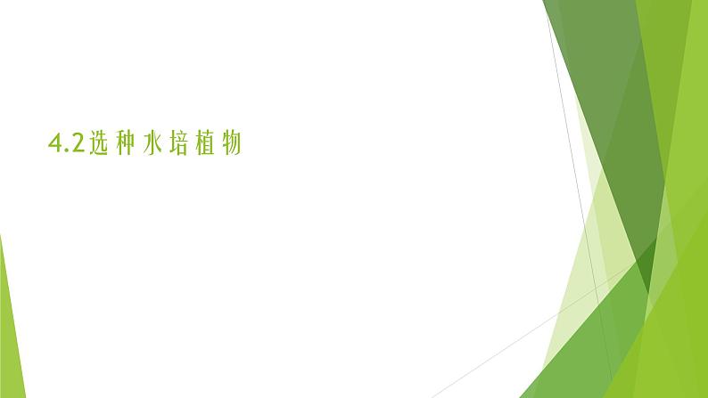 浙教版（劳动）_一年级上册_项目四任务二 选种水培植物 课件第1页