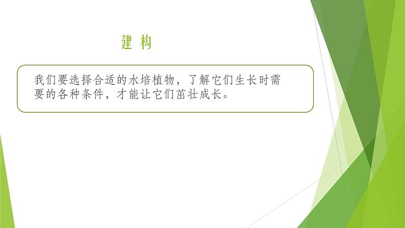 浙教版（劳动）_一年级上册_项目四任务二 选种水培植物 课件第2页