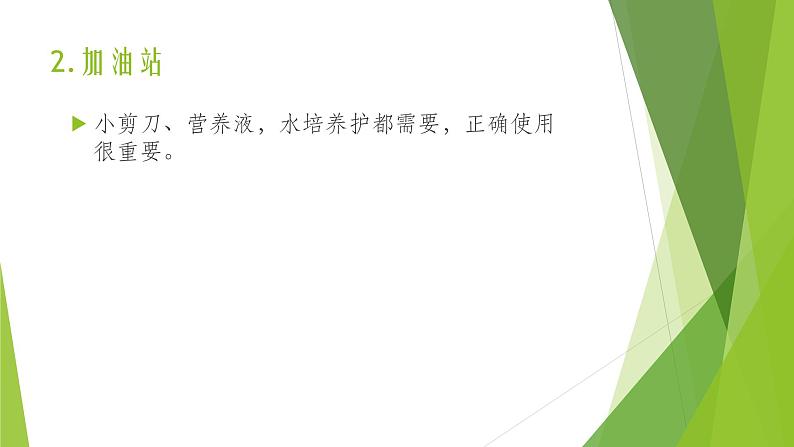 浙教版（劳动）_一年级上册_项目四任务三 水培植物我养护 课件第4页