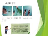 浙教版（劳动）_一年级上册_项目四任务三 水培植物我养护 课件