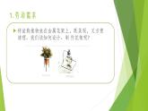 浙教版（劳动）_四年级上册_项目三任务二 迷你盆景小花架 课件