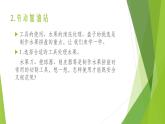 浙教版（劳动）_四年级上册_项目一任务三 水果拼盘的制作 课件