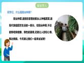 北师大版劳技六年级 第7课《小空间大农场》课件+教案+素材