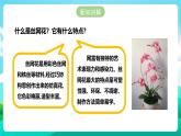 北师大版劳技六年级 第13课《丝网绽放百台花》课件+教案+素材