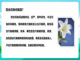 北师大版劳技六年级 第13课《丝网绽放百台花》课件+教案+素材