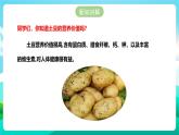 北师大版劳技三年级 第8课《土豆成长我观察》课件+教案+素材