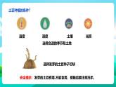 北师大版劳技三年级 第8课《土豆成长我观察》课件+教案+素材