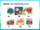 北师大版劳技五年级 第1课《清香美味端午粽》课件+教案