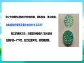 北师大版劳技五年级 第14课《制作大熊猫橡皮章》课件+教案+素材