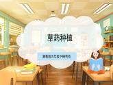 【核心素养目标】湘教版劳技五下  第8课《草药种植》课件+教案+素材