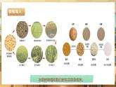【核心素养目标】湘教版三下劳技  第8课 稻花香里说丰年 课件+教案+素材