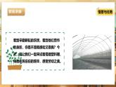 【核心素养目标】川民版五下劳技  第10课《搭建塑料棚》课件+教案+素材