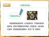 【核心素养目标】川民版四下劳技  第1课《收集校园废品》课件+教案+素材
