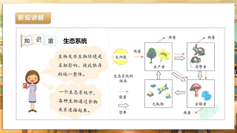 《11 制作校园生态瓶》课件第8页