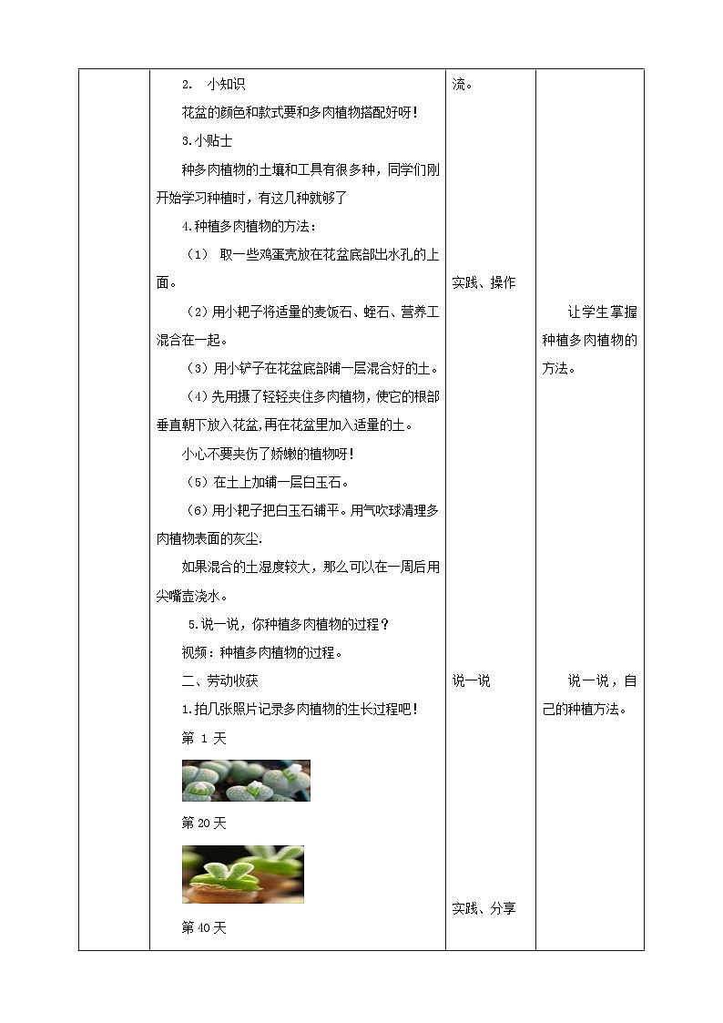 人教版五下劳技 项目六《种多肉植物装饰教室》教案第2页