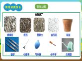 人教版五下劳技 项目六《种多肉植物装饰教室》课件+教案+素材