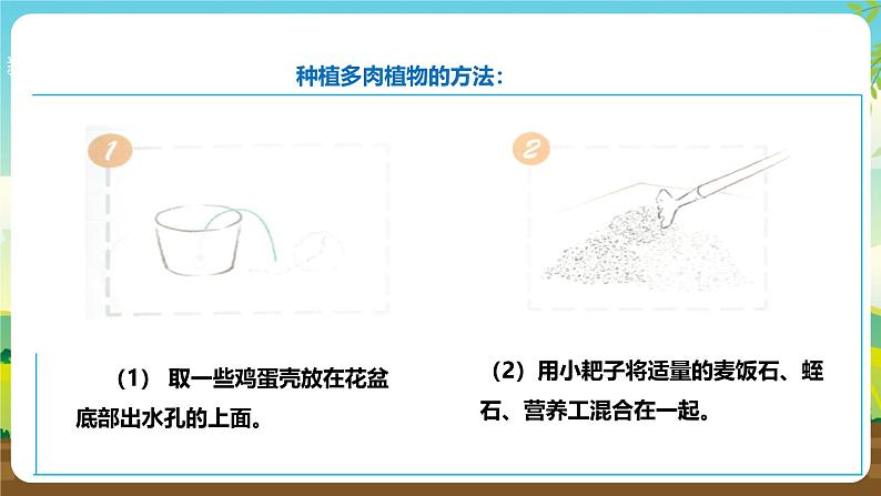 人教版五下劳技 项目六《种多肉植物装饰教室》课件第8页