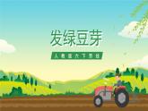 人教版六下劳技 项目三《发绿豆芽》课件+教案+素材