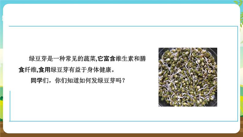 人教版六下劳技 项目三《发绿豆芽》课件第4页