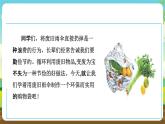 人教版六下劳技 项目五《利用废旧雨伞制作购物袋》课件+教案+素材