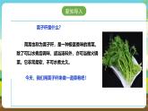 人教版六下劳技 项目八《清炒蒿子杆》课件+教案+素材