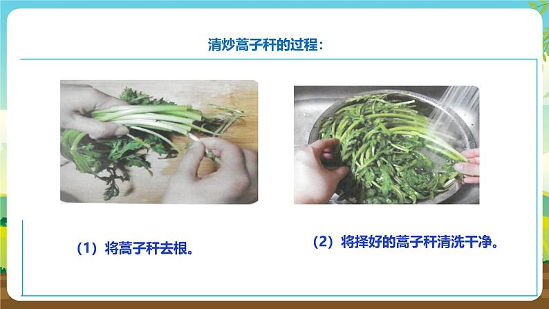 人教版六下劳技 项目八《清炒蒿子杆》课件第5页