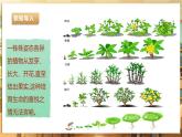 【核心素养目标】湘教版三下劳技  第3课《喂植物喝水》课件+教案+素材