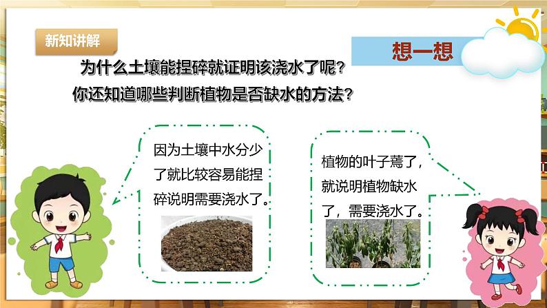 【湘教版】《劳动教育》三年级下册 第3课 喂植物喝水 课件第7页