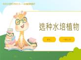 小学 劳动 浙教版 一年级上册 项目四《任务三 水培植物我养护》教学课件
