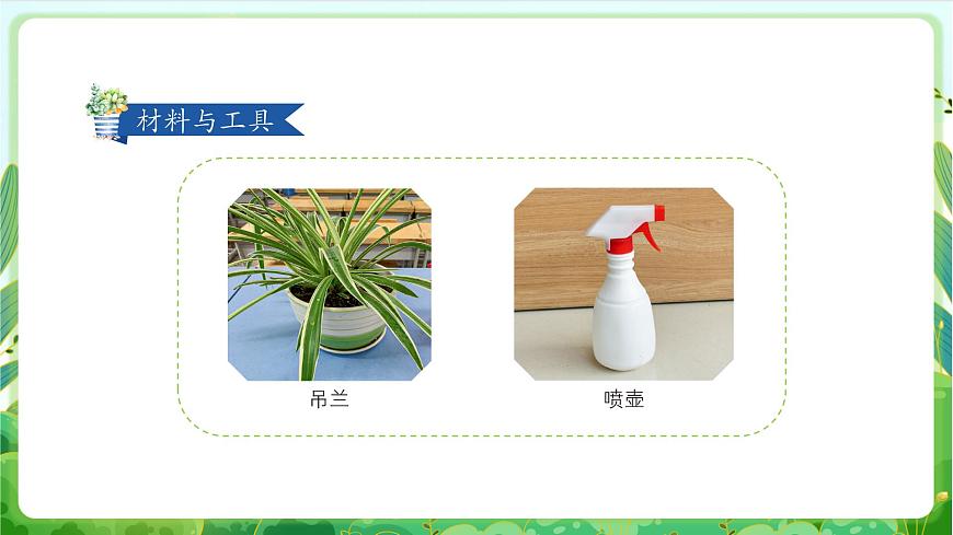 人民版劳动教育一上 第3课  我给花草止止渴 课件第4页