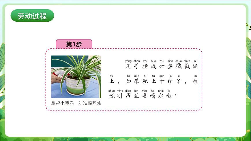 人民版劳动教育一上 第3课  我给花草止止渴 课件第5页