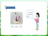 人民版劳动教育一上 第6课 我的牙齿我爱护 课件+教案