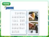人民版劳动教育一上 第11课 我为蔬菜洗洗澡  课件+教案