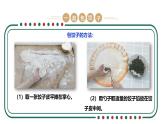【核心素养目标】人教版《劳动教育》三上 劳动项目七《包饺子》课件+素材
