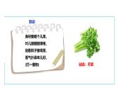 【核心素养目标】人教版《劳动教育》二上 劳动项目六《择芹菜》 课件+素材