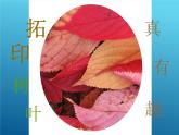 第11課 拓印樹葉真有趣 PPT課件+教案