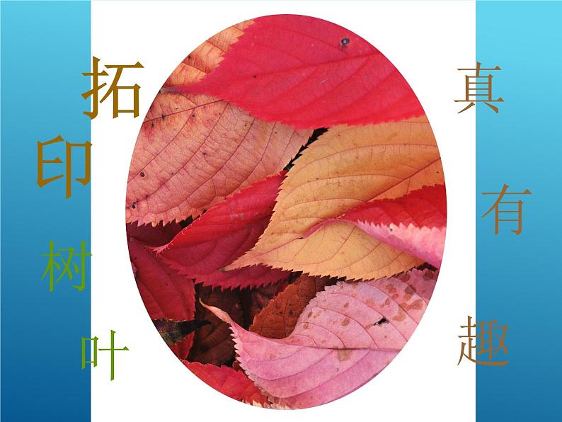 第11课 拓印树叶真有趣 PPT课件+教案01
