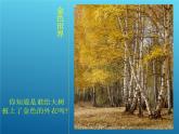 第11課 拓印樹葉真有趣 PPT課件+教案