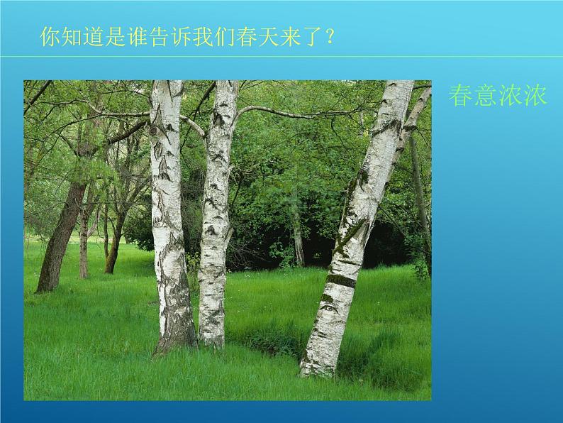 第11课 拓印树叶真有趣 PPT课件+教案06