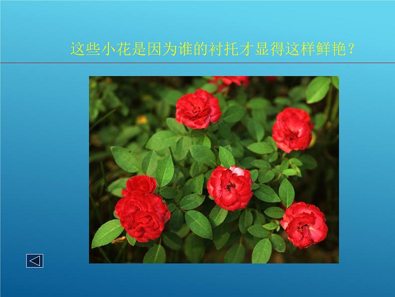 第11课 拓印树叶真有趣 PPT课件+教案07