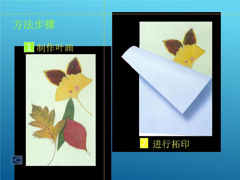 第11课 拓印树叶真有趣 PPT课件+教案08