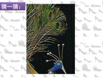 人美版三年级上学期18.各种各样的鞋说课课件ppt