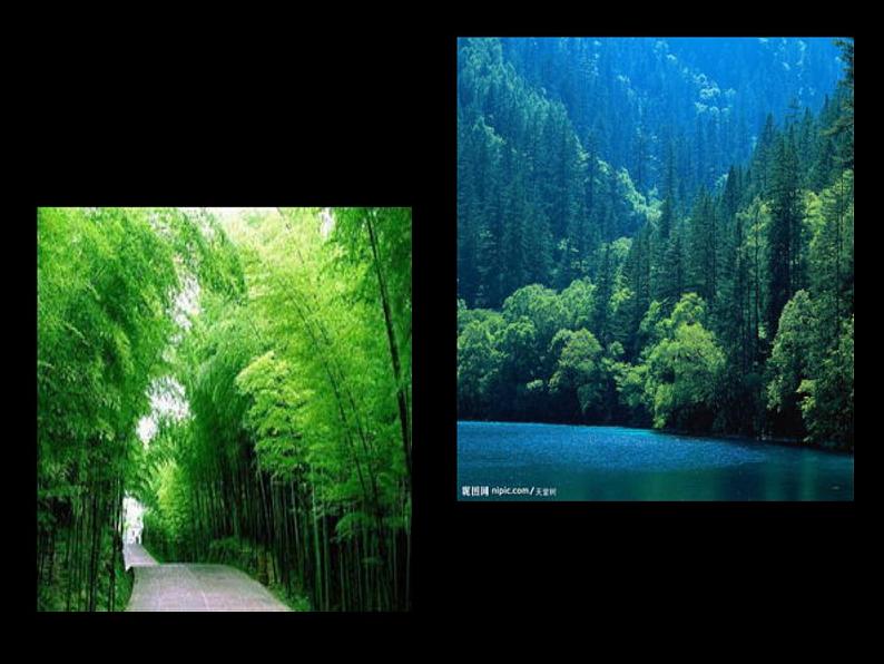 第3课　生活中的冷色 课件+教案04