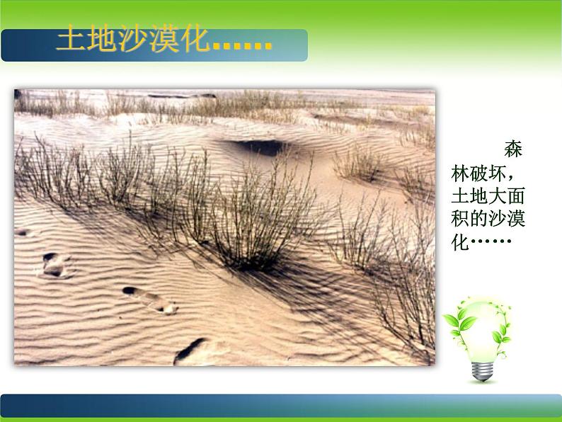 第9课　创造绿色生活 PPT课件+教案05