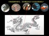 第14課 中國龍 PPT課件+教案