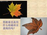 第四課 線描中的黑白對比 課件+教案