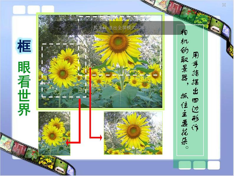 第十一课　镜头里的花 课件+教案03